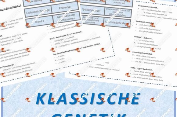 Biologie Genetik Begrifflichkeiten Quiz Test Klassenfuchs